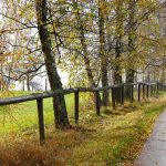 Laufen bei Regen